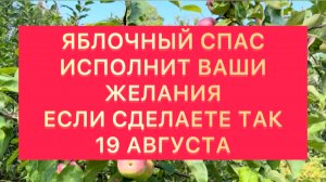 Яблочный Спас поможет осуществить любые ваши желания ⚡️☺️