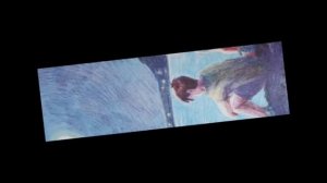 Буктрейлер "Лилия Волкова "Под созвездием бродячих псов"