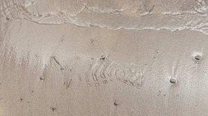 Магия исчезающих следов