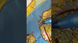 17.08.25 прекрасный рогейн в Строгино за 1000₽