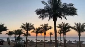 рассвет красное море