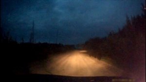 Медведица напала на автомобиль, беспокоясь за своих медвежат