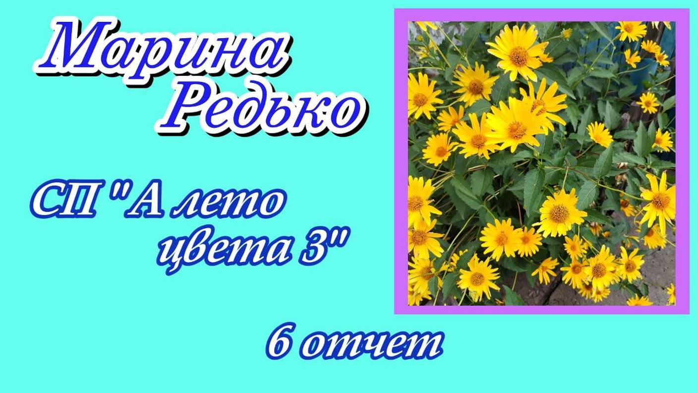 СП "А лето цвета 3..." / 6 отчёт / Участник 35 смотреть онлайн