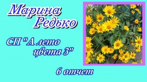 СП "А лето цвета 3..." / 6 отчёт / Участник 35