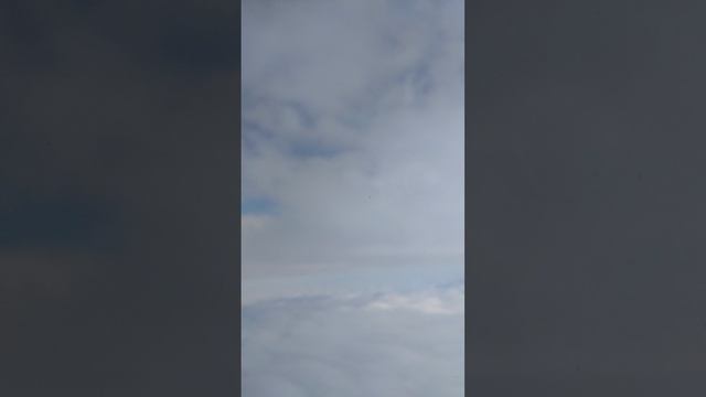 жаль что не появился Шрек