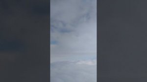 жаль что не появился Шрек