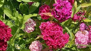 ï¯ñ¿_é«ßÔ«Óú_éÑßѽýÑ_æþáßÔýÑ_æ¼ÑÕ_ÄÔñÙÕ_ü¿º¡Ñ߼ѡ_î«ÓÑ_髽¡Ù_æó«í«ñá