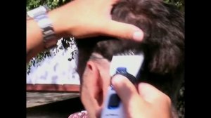 Машинка для стрижки волос GА.МА GC567 SPORT W&D - HF