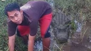 COUB compilation _ нарезка COUB -139