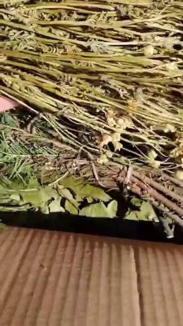 Как выглядят стимуляторы Счастья?