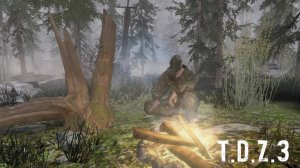 Прохождения T.D.Z 3 Темный путь сталкера (Часть 4 Финал)