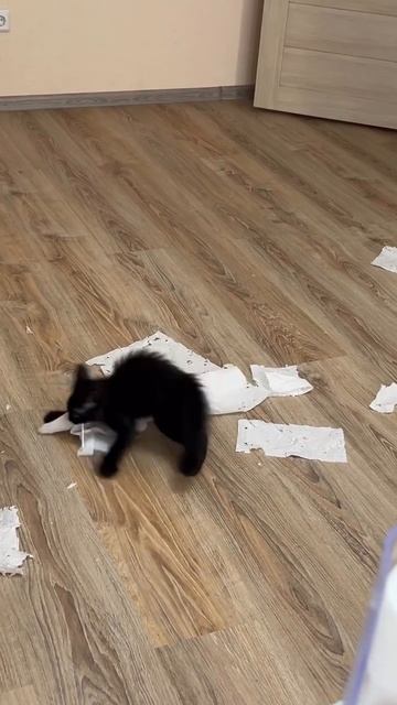 Скачать видео ➡️➡️➡️ в т. Г. https://t.me/cartolega смотреть онлайн