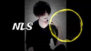 NLS MIX: NIKISTAR HOBBIES - TOP10 SONGS BY YOUTUBE VIEWS!