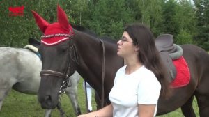 Конные соревнования