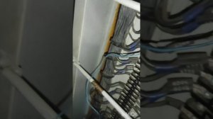 ЭП1М без АЗВ Тяга SF19(SF20) 1 часть