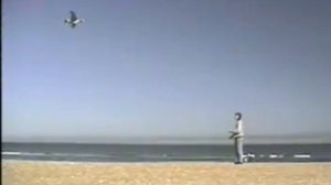 [WHT.RU] Воздушные змеи для охоты JC - гусь