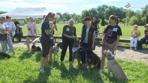 В Серпухове прошёл  фестиваль "Я и моя собака"