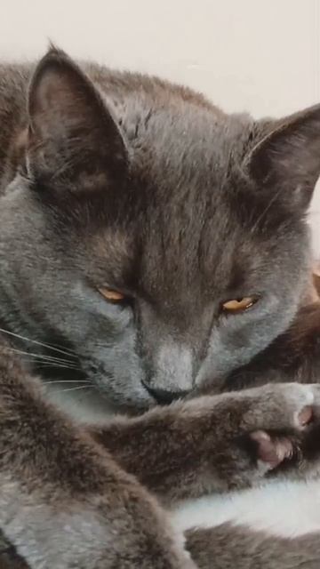 А чем вы вообще занимаетесь!?shorts