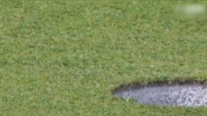 Муха помогла выиграть 1 млн. долларов!