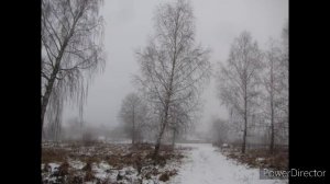 Пасмурная тоска