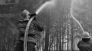 Пожарная охрана (ремикс)