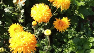 Итоги конкурса. Посылки на отправку.