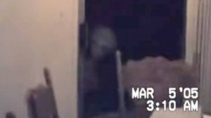 Серый Пришелец В Доме