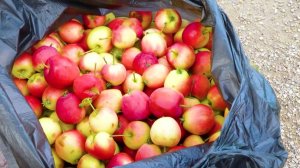 Программа "Главные новости" на 8 канале от 18.08.2025 Часть 2