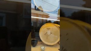 Зеленоградске зарисовки