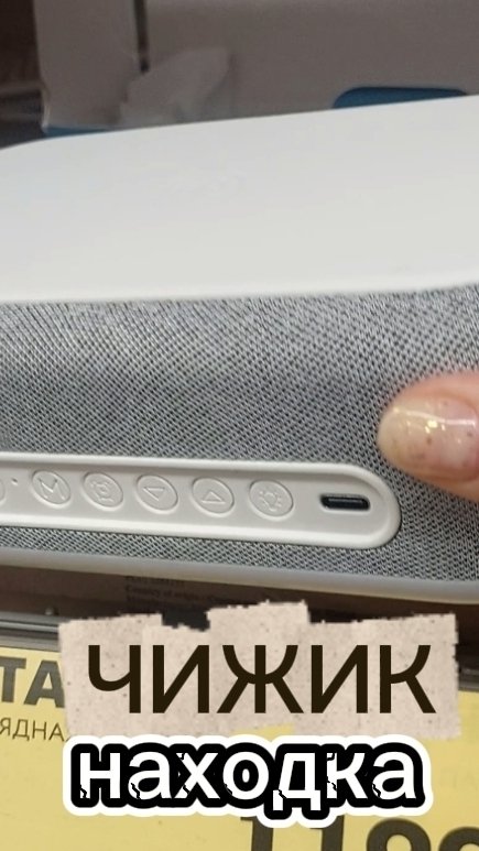 Находка Чижик