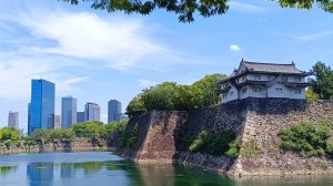 СП А лето цвета-3 с Людмилой Красноперовой. Отчёт 6.