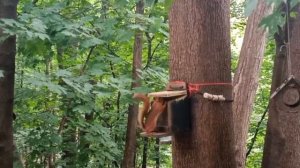 Кормушки Любимый орешки