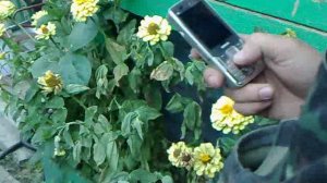 Это все что останется.