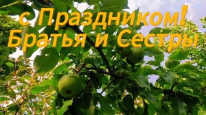 Православные 19 августа отмечают Преображение Господне, или, как его еще называют, Яблочный Спас.