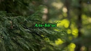 99 Имён Аллаха. С объяснением  смысла каждого Имени