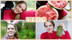 🍉 АРБУЗНО - ЛАВРОВЫЕ БУДНИ У РОДИТЕЛЕЙ | НОВЫЙ ПАРФЮМ | ПРО ПРАЗДНИКИ