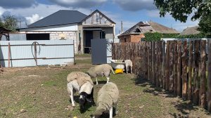 Занимаюсь трактором!! ЖИЗНЬ В ДЕРЕВНЕ