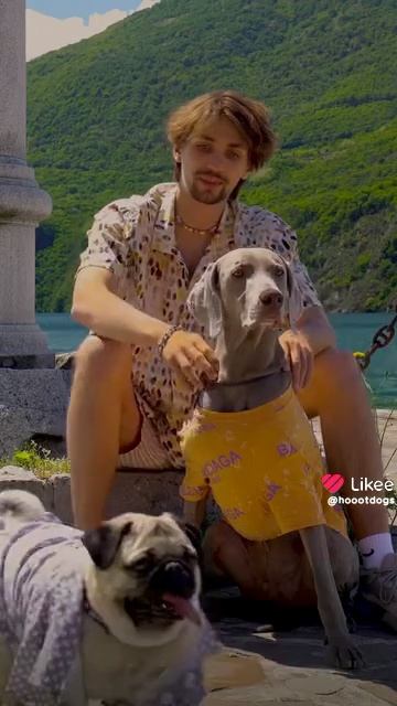 Like_7235612513073888471.mp4 смотреть онлайн