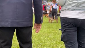 11 Отл. HARLAMOFF Lichtenstein-Ost +++ №81. Главная выставка немецких овчарок России 2025