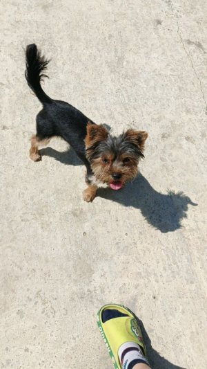 стримммммммммммммеммммммемем