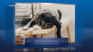 Всемирный день лени. Календарь Губернии от 20 августа