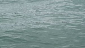 Гранд канал-Венеция!