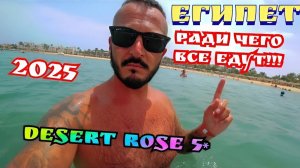 Египет 2025 🇪🇬 ОЧЕНЬ ВАЖНО Desert Rose Hotel 5* ПЕРВАЯ ЛИНИЯ / ПЛЯЖ и ПИТАНИЕ В ГЛАВНОМ РЕСТОРАНЕ