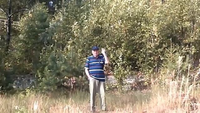 Возьми меня с собой - Автор музыка и поёт Лисыцин смотреть онлайн