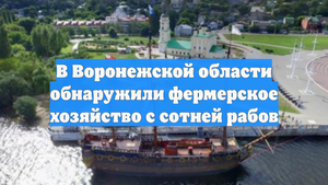 В Воронежской области обнаружили фермерское хозяйство с сотней рабов
