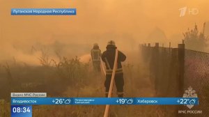 Мощный природный пожар бушует в ЛНР, пострадали 11 человек