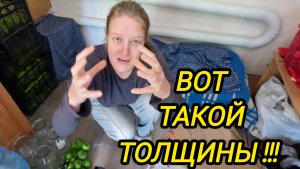 КУПИЛИ ДОМ В ДЕРЕВНЕ | Вот такой толщины | Деревенские хлопоты | Дом в деревне