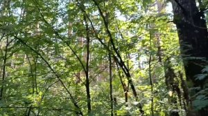 Бешеные крючки 4.0. Куколка в славянском стиле "На счастье" 🥰