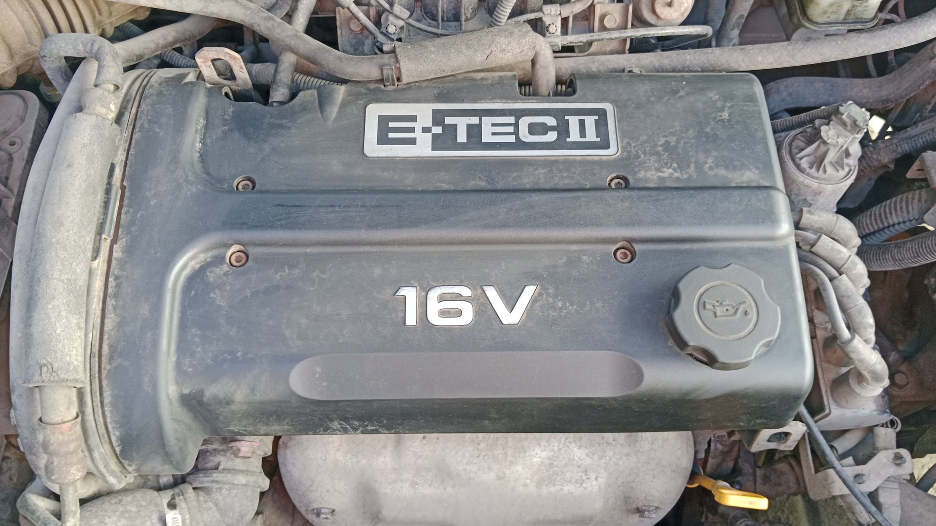 Номер двигателя Шевроле Авео 1.4 16кл. смотреть онлайн