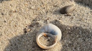 Купаемся на Дону. Последние деньки уходящего лета... и каникул... 🌞🫠🏖